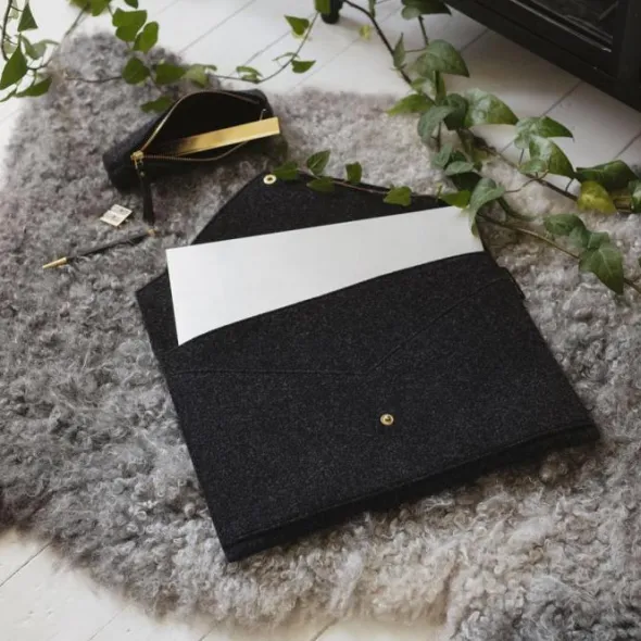 Document Folder/Laptop Case Transparent Black Transparent Black