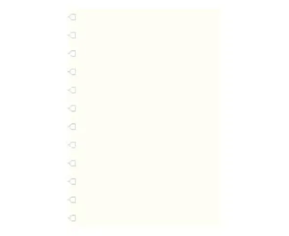 Extrablad olinjerat till Filofax A4 Notebook