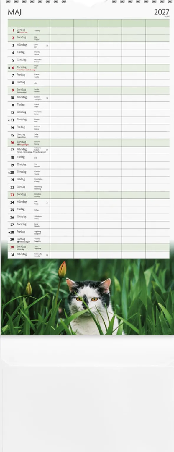 Familjekalender Katter 2026-2027