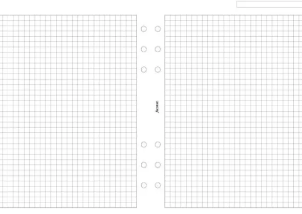 Filofax A5 rutade blad (14,8x21cm)