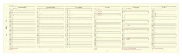 Filofax Årsplan pocket 2026 (8,1x12cm)