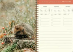 Kalender 2026 Lantdrömmar