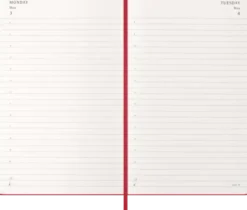 Kalender Moleskine Daily Hard Large Red 2027