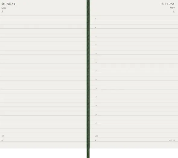 Kalender Moleskine Daily Soft Large Myrtle Green 2027