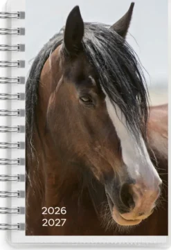 Kalender Pets 4i1 Compact 79x127mm 2026-2027