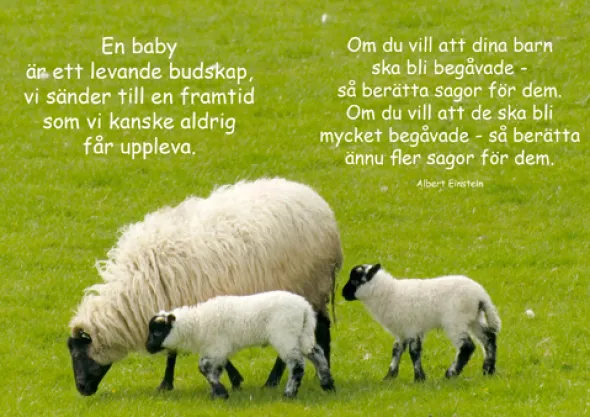 Älskade Baby- Citatbok