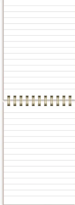 Notebook Sparkle Lined A6