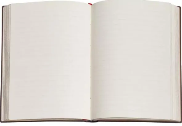Paperblanks Notebook Midi lined Fiammetta