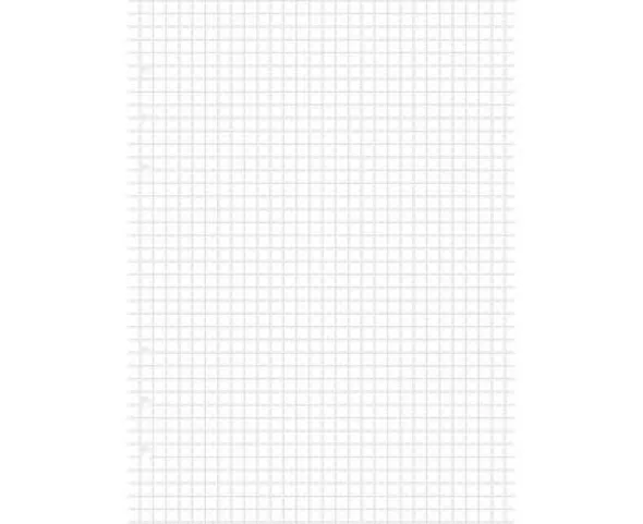 Refill A5 Clipbook rutade blad