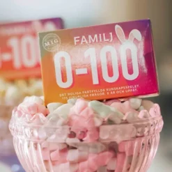 Spel M.I.G Mini 0-100 Familj