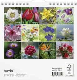 Väggkalender Blommor 2027