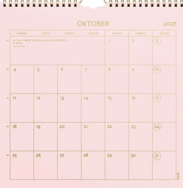 Väggkalender Color 2027