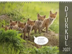 Väggkalender Djurkul 2027