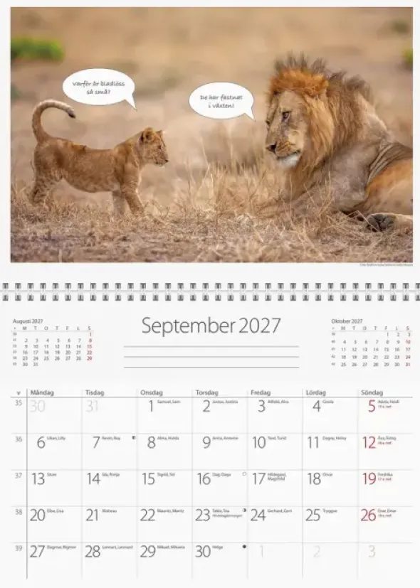 Väggkalender Djurkul 2027