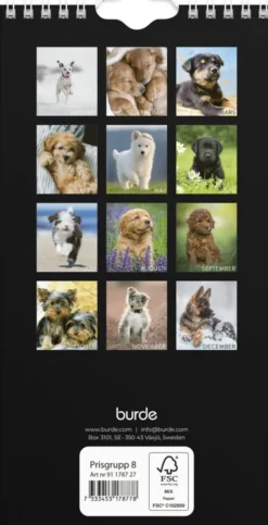 Väggkalender Hund Liten 2027