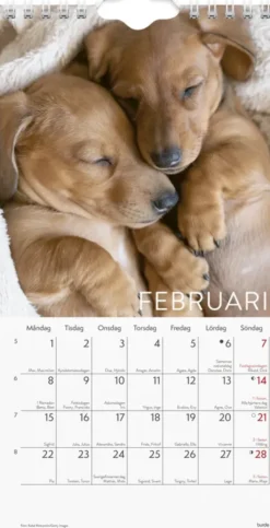 Väggkalender Hund Liten 2027