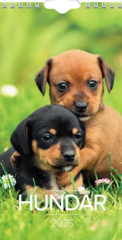 Väggkalender Hund Liten 2026