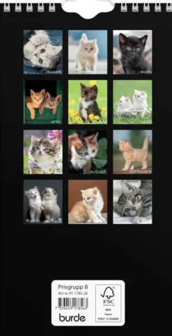 Väggkalender Katt liten 2026