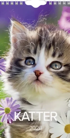 Väggkalender Katt liten 2026