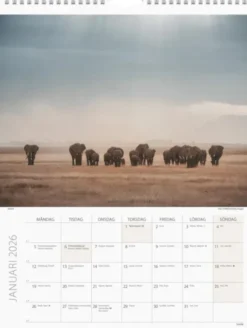 Väggkalender Savannen 2026