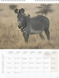 Väggkalender Savannen 2027