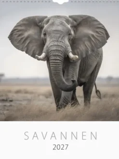 Väggkalender Savannen 2027