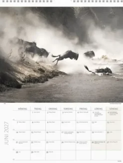 Väggkalender Savannen 2027