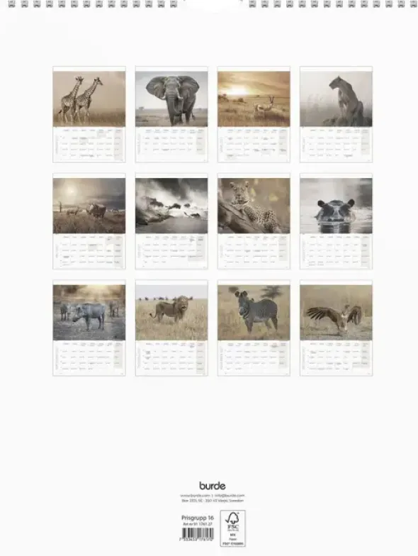 Väggkalender Savannen 2027
