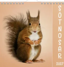 Väggkalender Sötnosar 2027