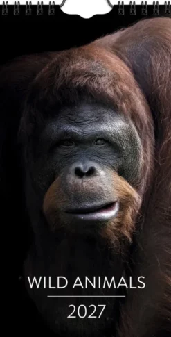 Väggkalender Wild animals 2027