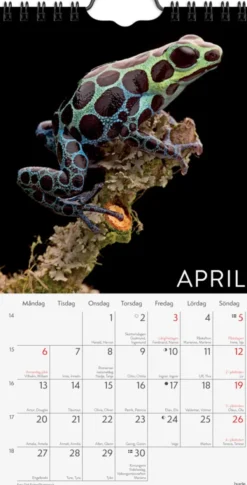 Väggkalender Wild animals 2026